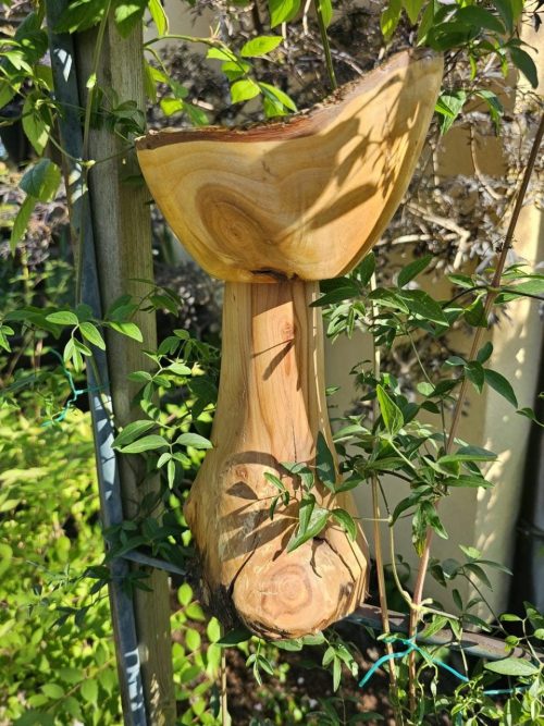 Chalice of the Woods - Image 3