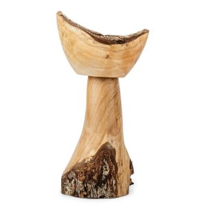 Chalice of the Woods