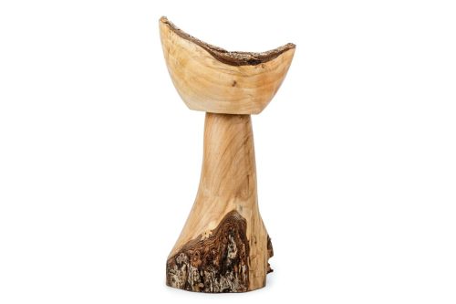 Chalice of the Woods