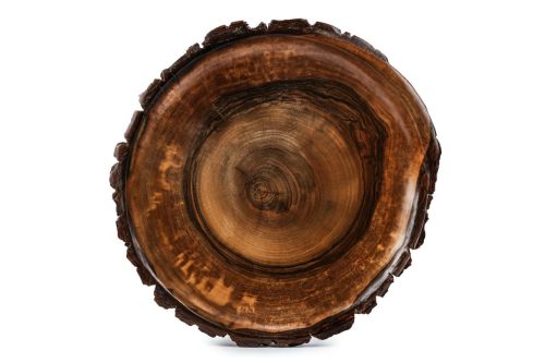 Large Walnut Live Edge Platter - Image 3