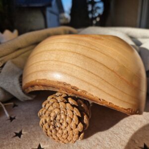 29c4c668caef941801beec8fd562e5c9