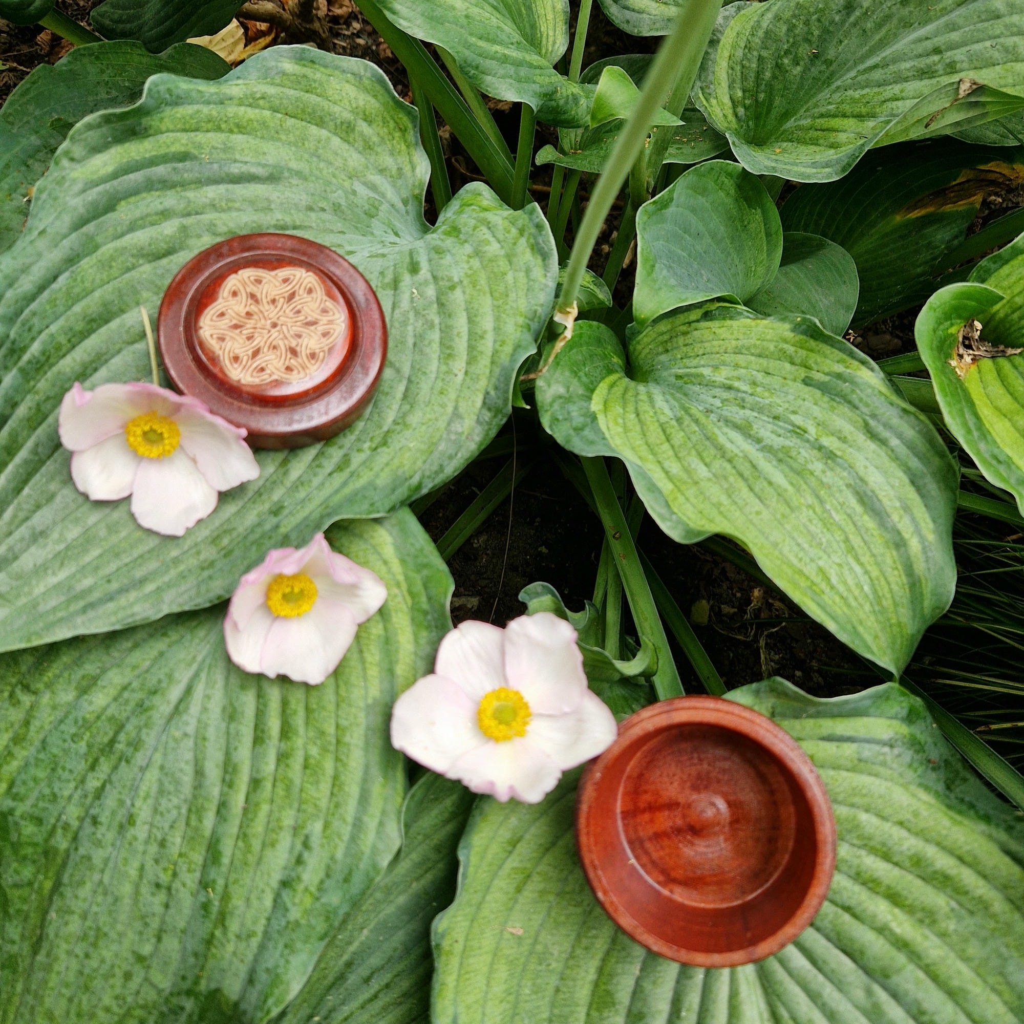 celtyckie drewniane pudełko na pierścionek a7146c3cfd22664c4ec254b6b1a379be