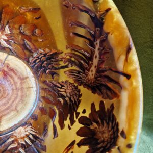 cee5427a5df5d99f56635a0189f6b5a5