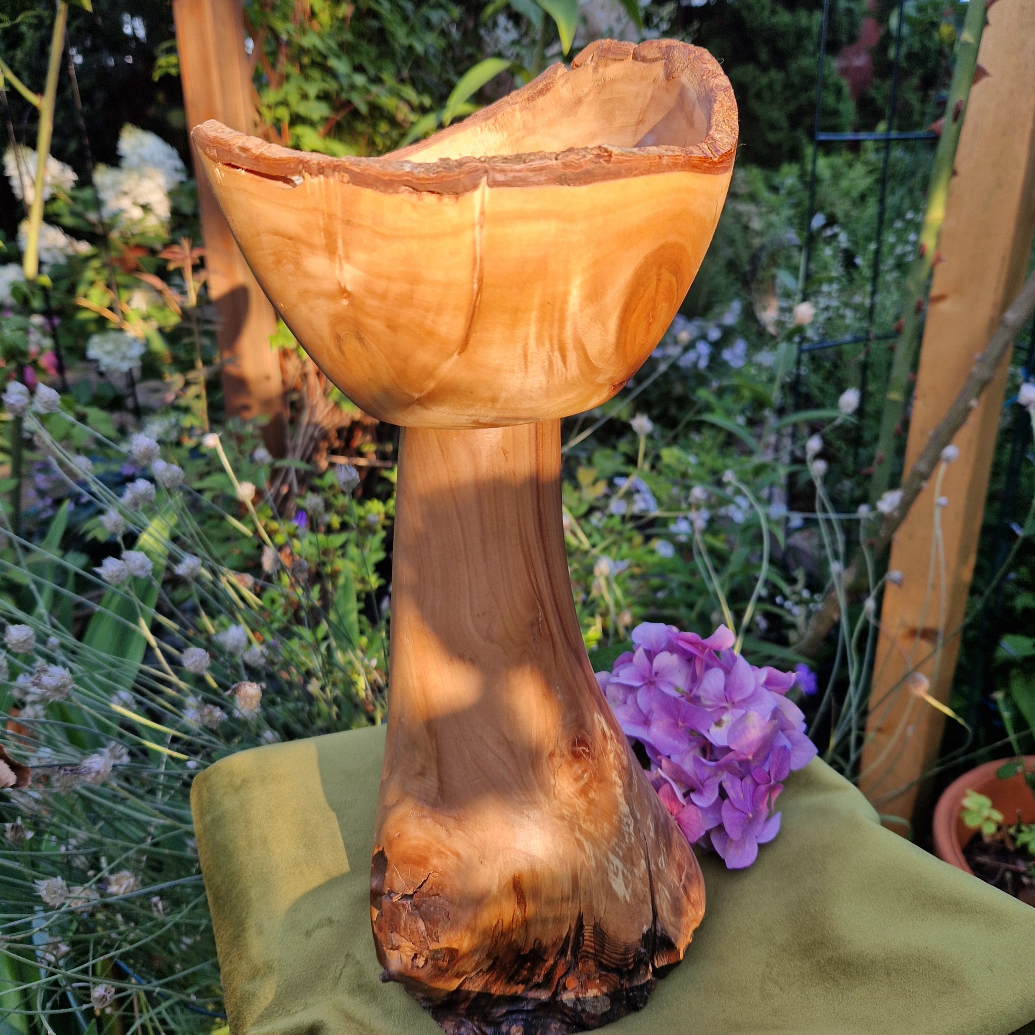 kielich lasu 7811e61f6873f57c7e30ac8a60995ea5