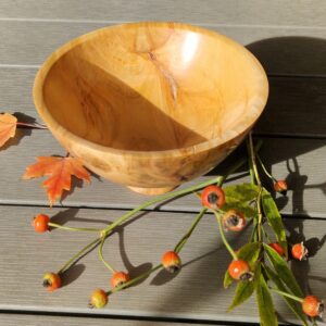 8d0d23d6a48cfe4b0b9f91ad3b448e17