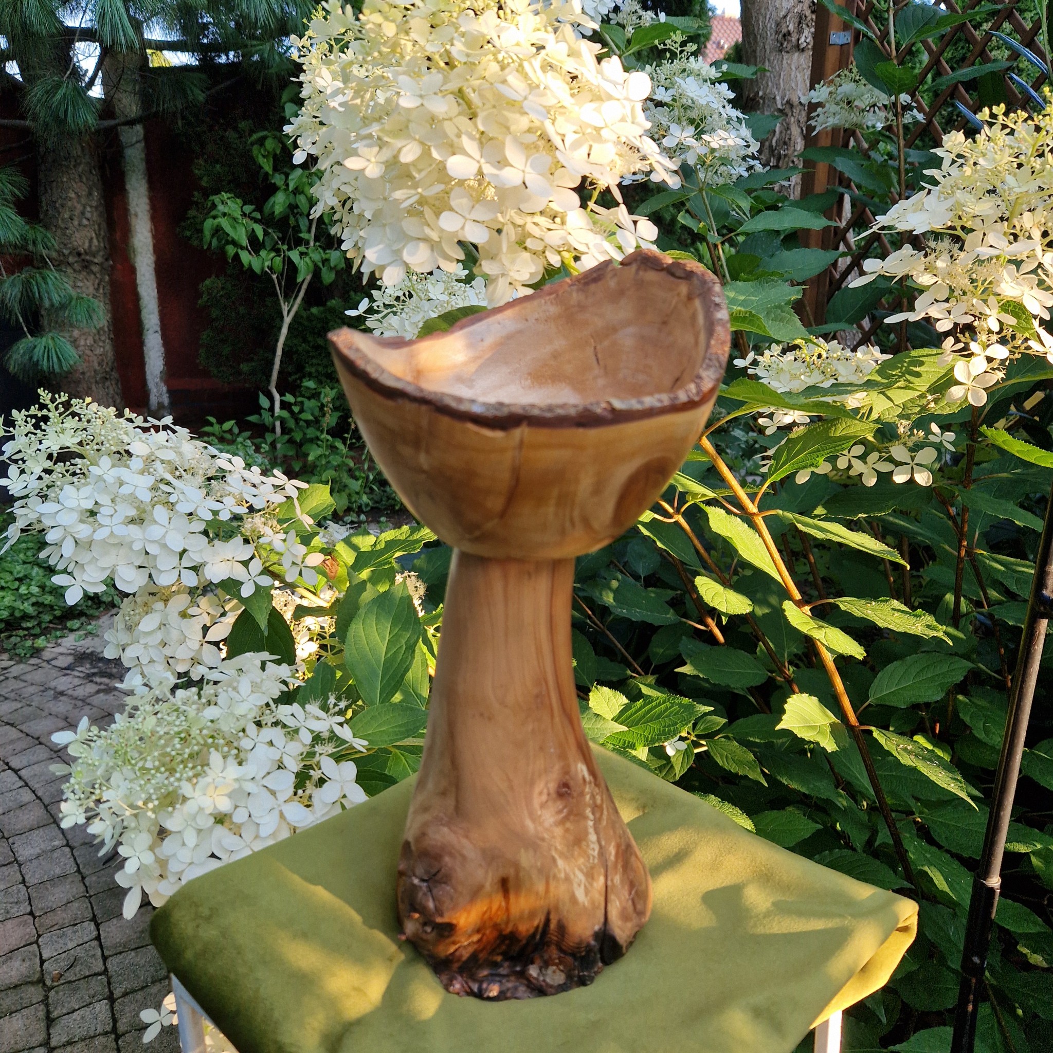 kielich lasu ca5a96b85f1f71006f971b1ce987b89d