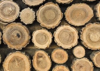front-view-wood-logs